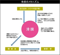 免疫のメカニズム